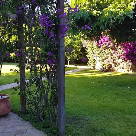 Casa Camelie *