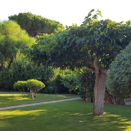 度假居 Casa Camelie
